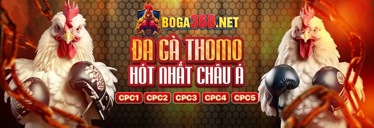 Sân vận động bóng đá với ánh đèn rực rỡ và các biểu tượng cá cược thể thao VB9